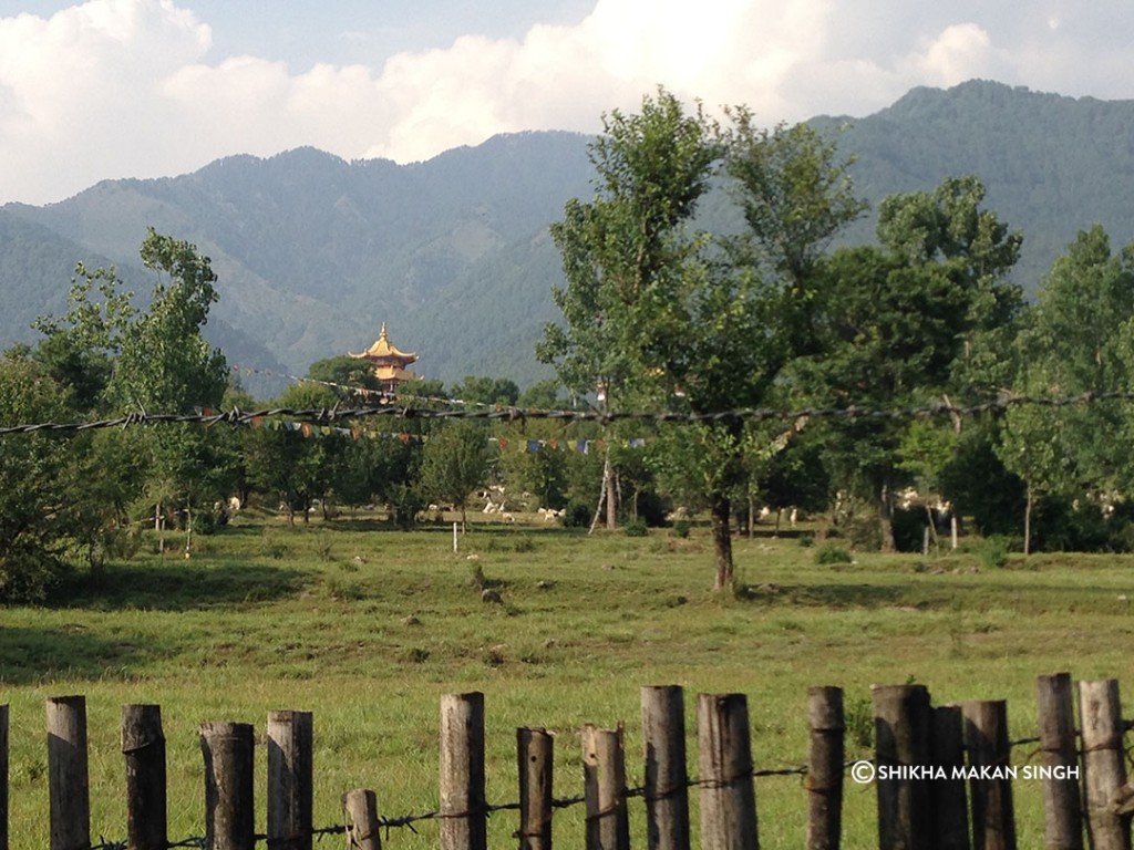 Bir Billing & Barot Valley thumbnail 6